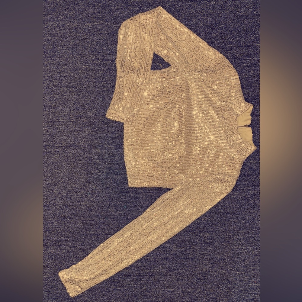 Lulus Sparkly Crop Top